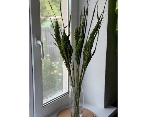 Чумиза (фарбована, зелена)
