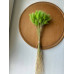 Другосортний Лагурус (салатовий)