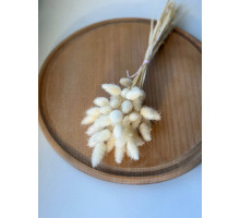 Другосортний лагурус (світло-бежевий)