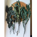 Набір евкаліпту
