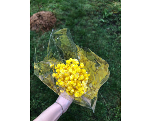 Маленькі гілочки гіпсофіли (жовті)
