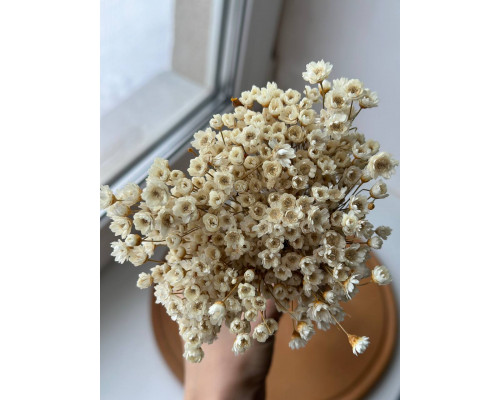 Гліксія натуральна (50 грам)