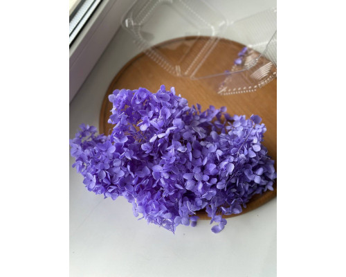 Гортензія фіолетова (20 грам)