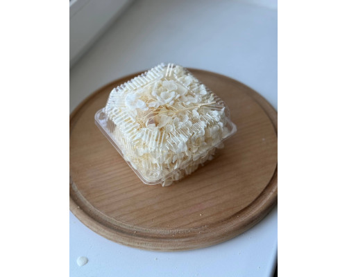 Гортензія молочна (15 грам)