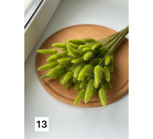 Лагурус №13