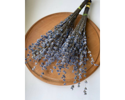 Лаванда синя
