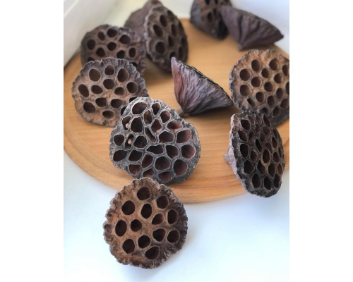 Лотос
