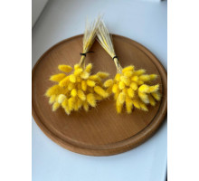 Міні лагурус (жовтий)