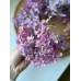 Стабілізована гортензія (фіолетово-бузковий мікс) №2
