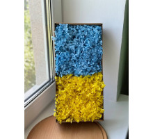 Стабілізована гортензія (жовто-блакитна) коробка