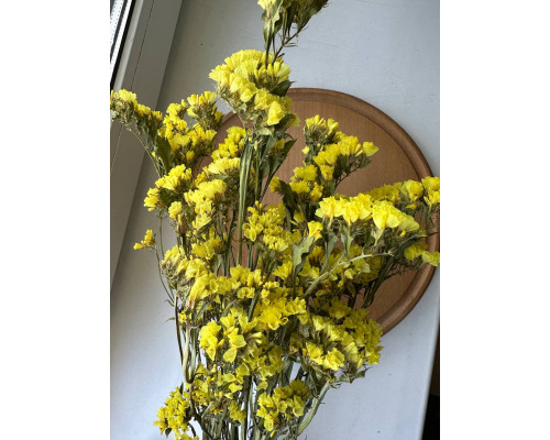 Статиця жовта (5шт)
