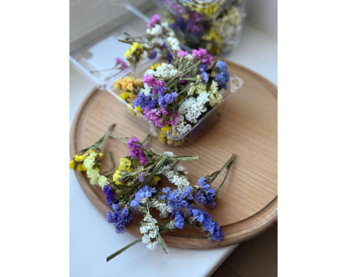 Статиця (обломки суцвіття)