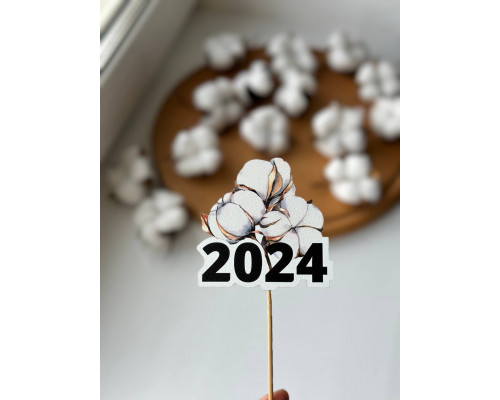 Топер 2024