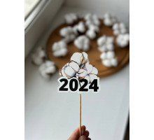 Топер 2024