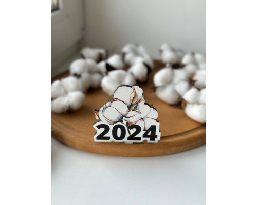 Топер 2024