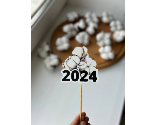 Топер 2024