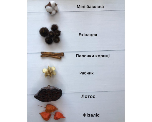 Зимовий набір